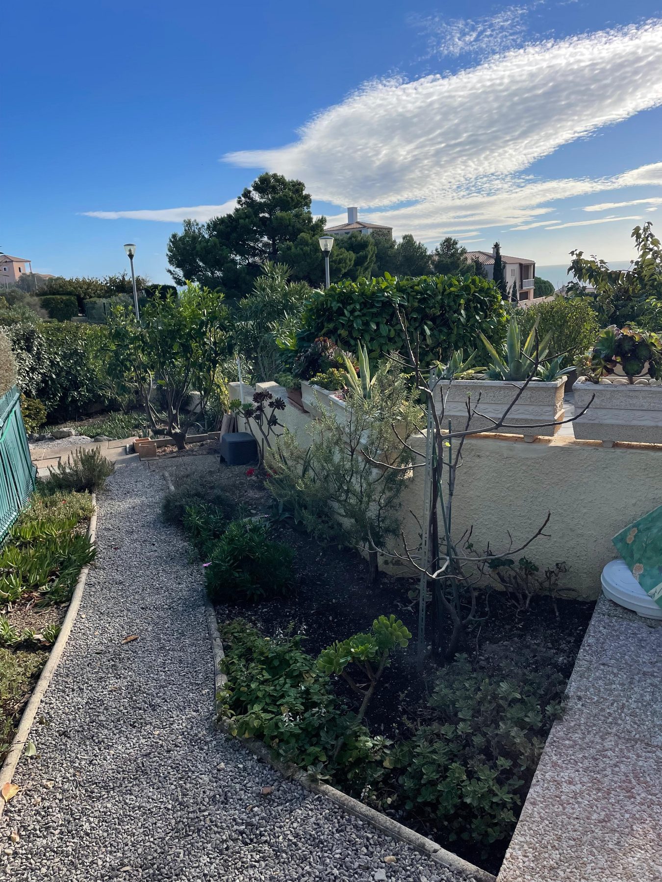 Jardin et vue mer